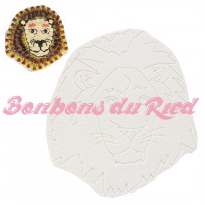 Forme Tête de lion pour gâteau de bonbons